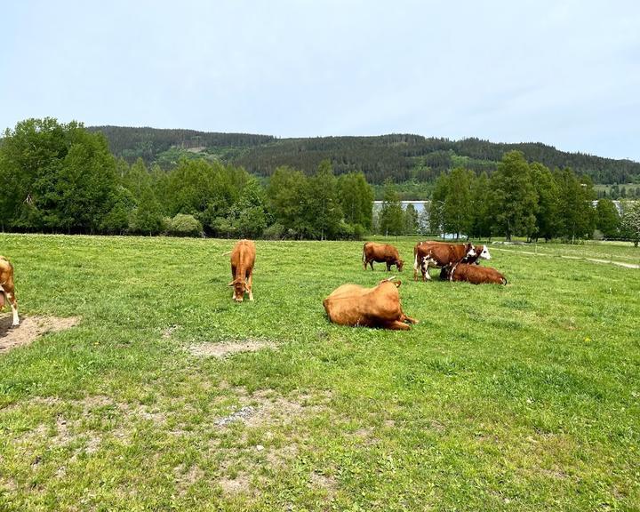 Vesperstube Unterkrummenhof